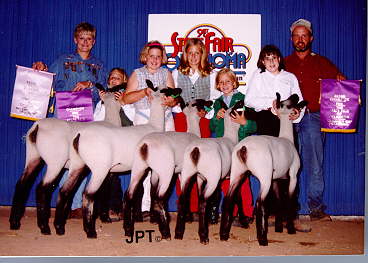 CHAMPION HAMPSHIRE FLOCK