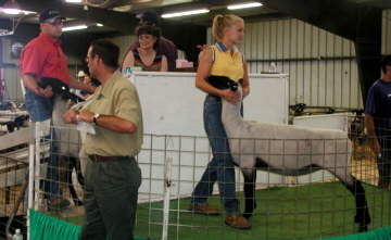 Production Sale 2nd Saturday July 
