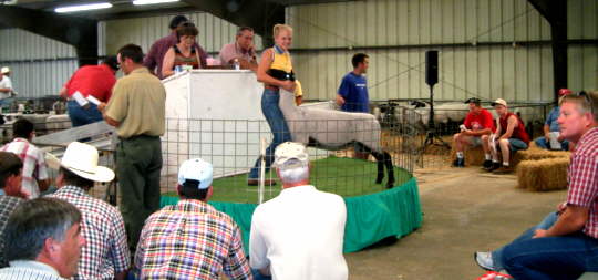 July 12, 2003 Custer County Fairgrounds
