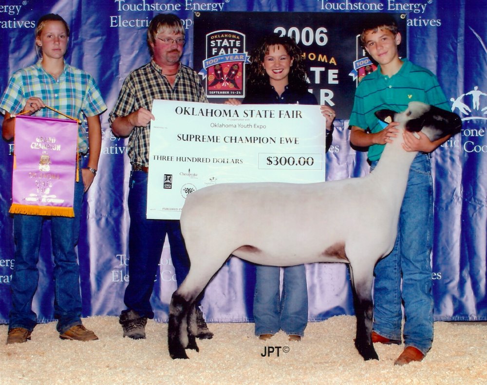 2006 Supreme Champion Shropshire Ewe 