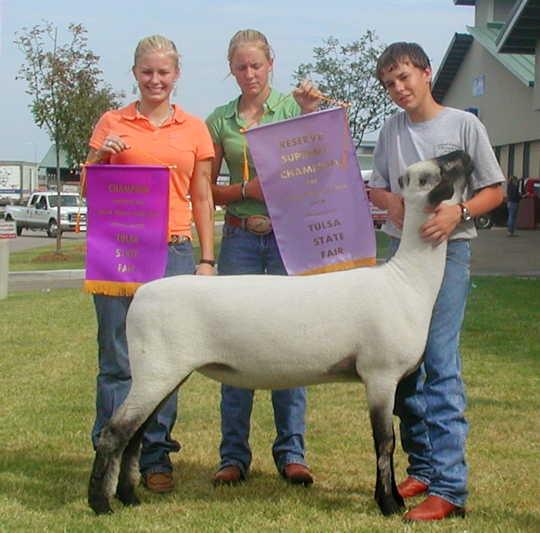 Supreme Champion Shropshire 