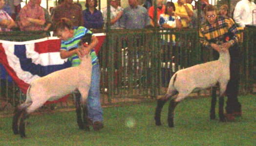 Daniel Venable Verdon OKlahoma
