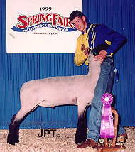 Champion Hampshire