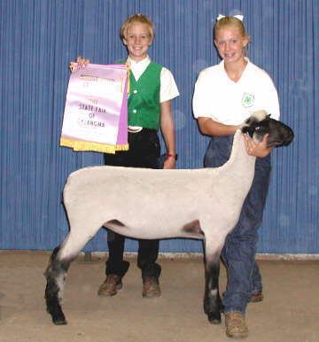 Reserve Champion Shropshire 